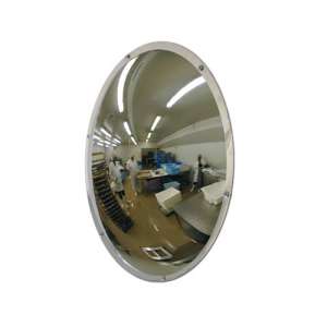 20" Stainless Steel Wall Dome Mirror